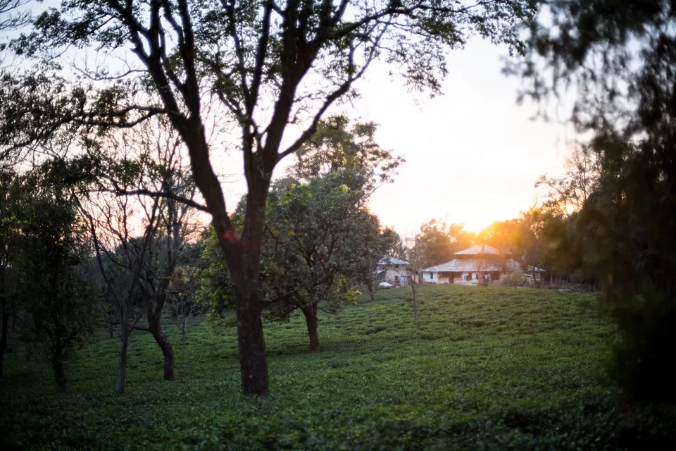 Photo of Palampur, Himachal Pradesh, India by Disha Kapkoti