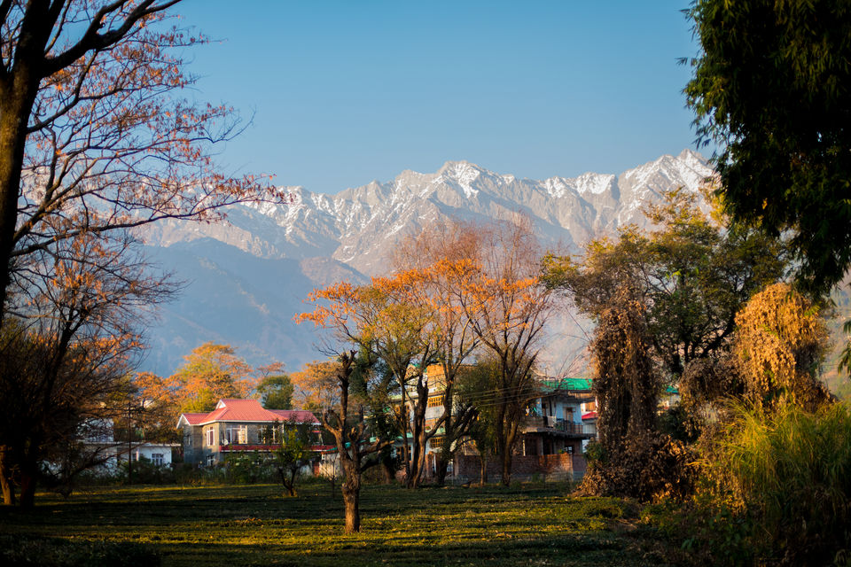 Photo of HIMALAYAN BREW TEA FACTORY, Palampur, Himachal Pradesh, India by Disha Kapkoti