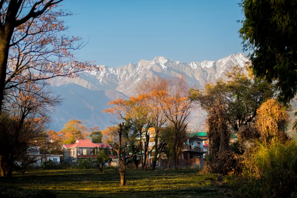 Photo of HIMALAYAN BREW TEA FACTORY, Palampur, Himachal Pradesh, India by Disha Kapkoti