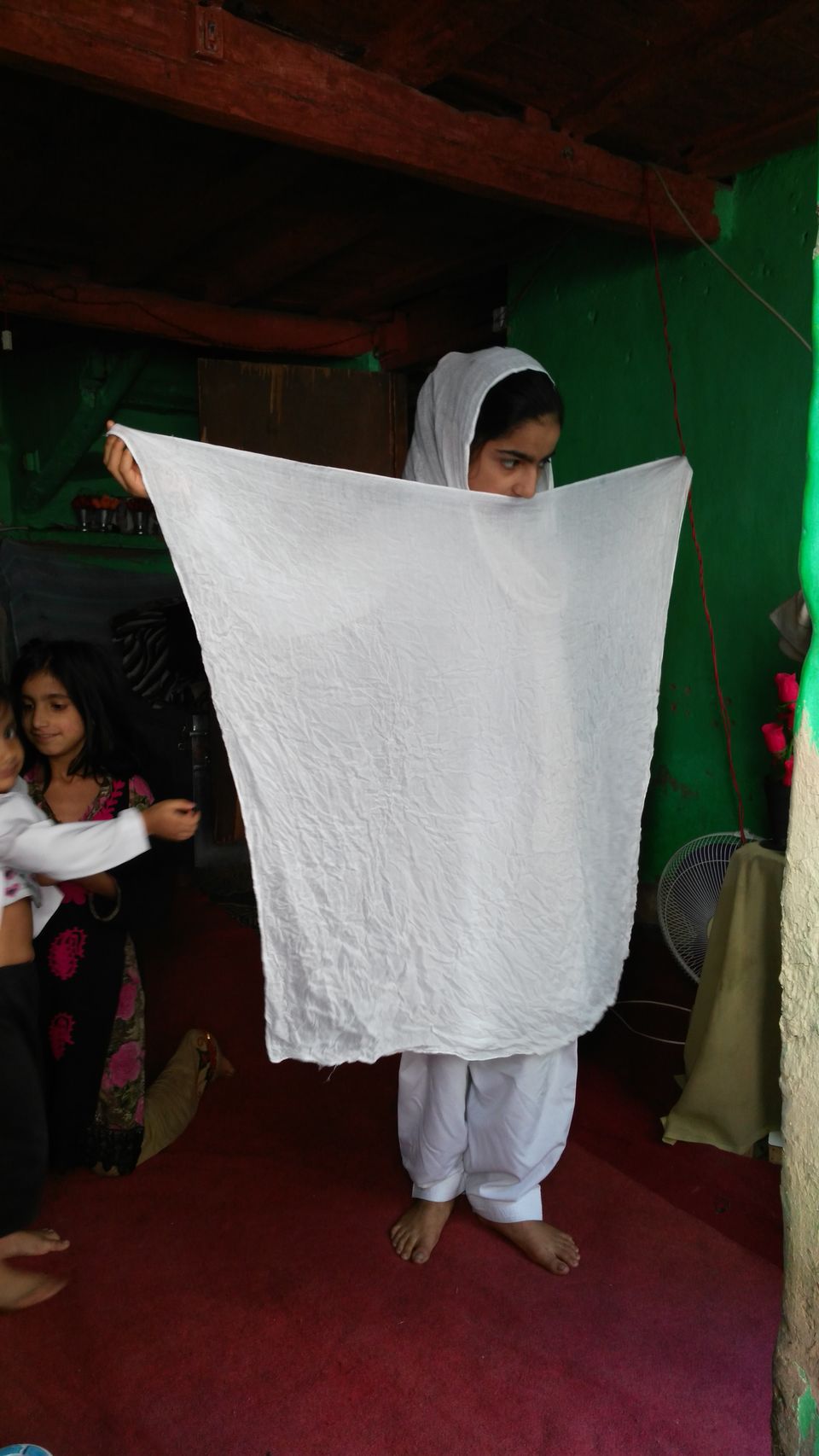 Photo of Srinagar by Disha Kapkoti