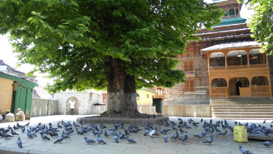 Photo of Srinagar by Disha Kapkoti