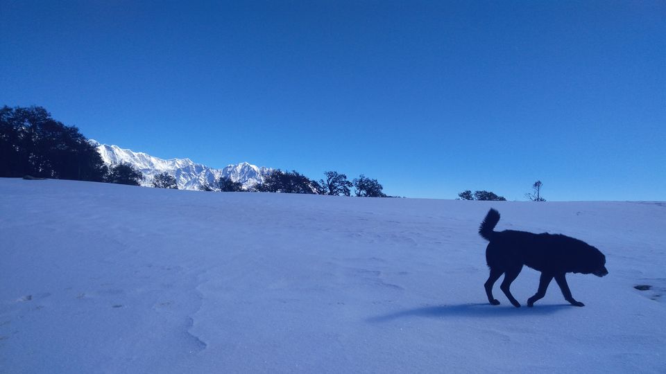 Photo of Uttarakhand, India by Disha Kapkoti