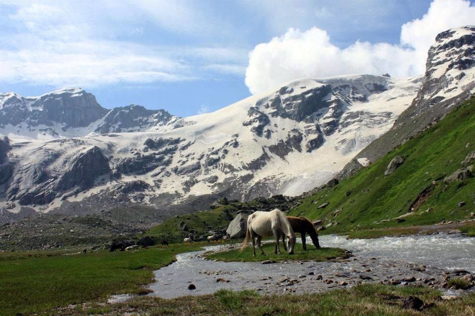 Photo of Deo Tibba, Himachal Pradesh by Disha Kapkoti