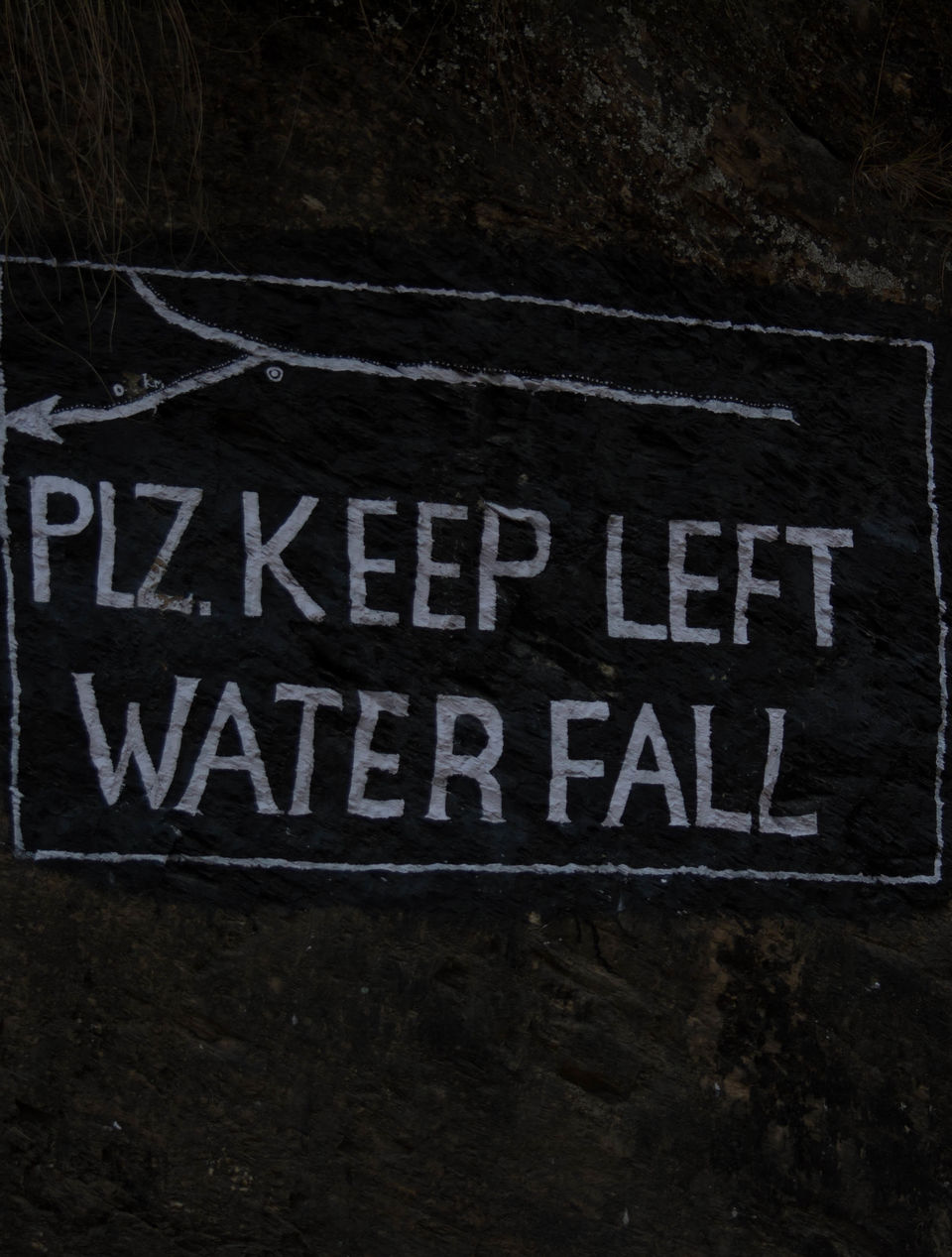 Photo of Dokaney Fall: A Local Secret of Kumaon That You Can't Miss Anymore by Disha Kapkoti