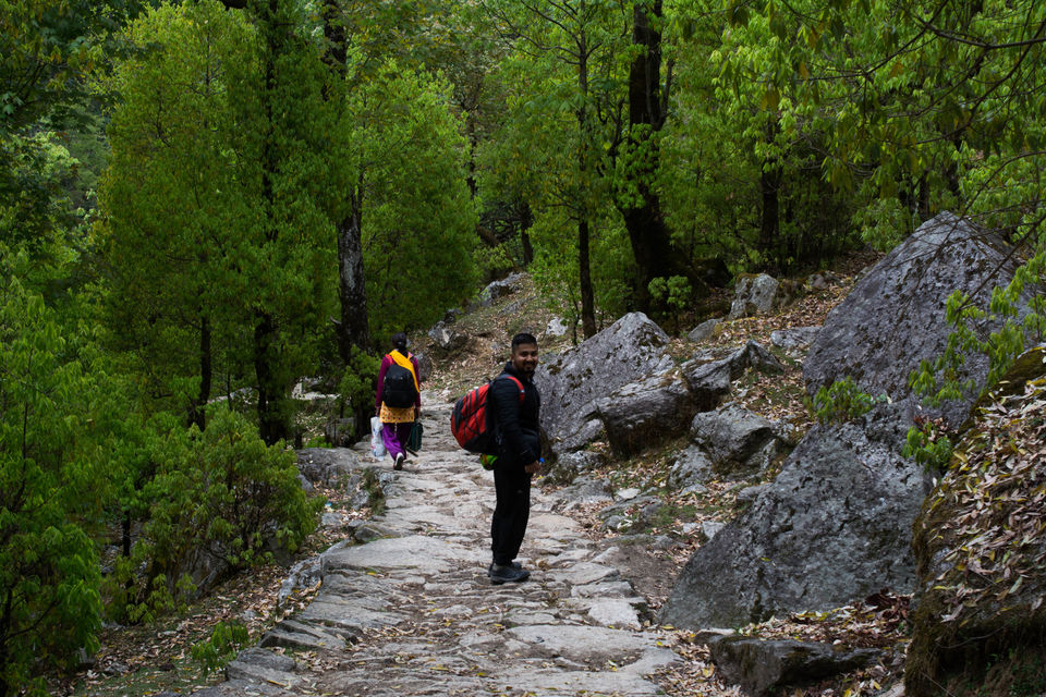 Photo of Pindari Glacier Trek Amidst Flowering Rhododendrons In May 2018 by Disha Kapkoti