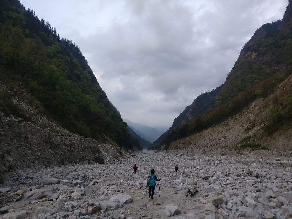 Photo of Pindari Glacier Trek Amidst Flowering Rhododendrons In May 2018 by Disha Kapkoti