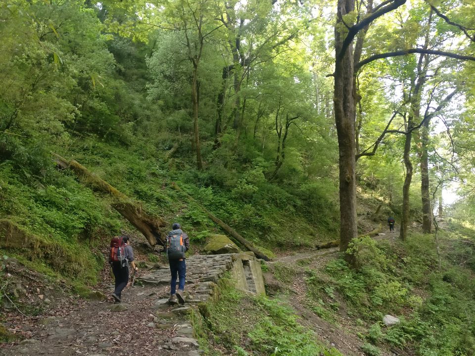 Photo of Pindari Glacier Trek Amidst Flowering Rhododendrons In May 2018 by Disha Kapkoti