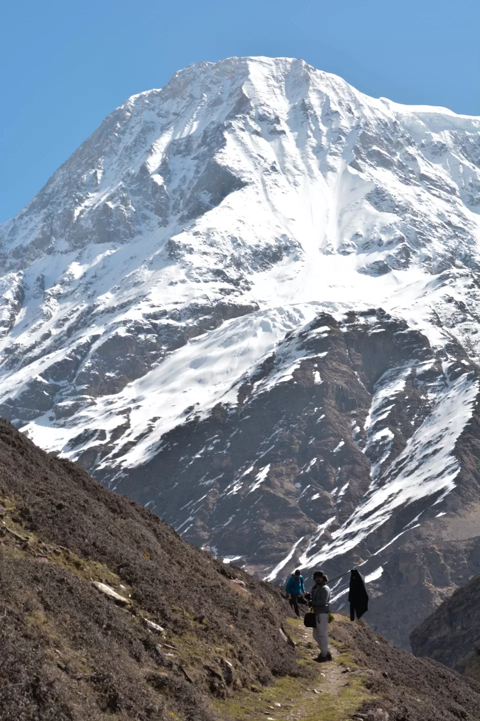 Photo of Pindari Glacier, Uttarakhand by Disha Kapkoti