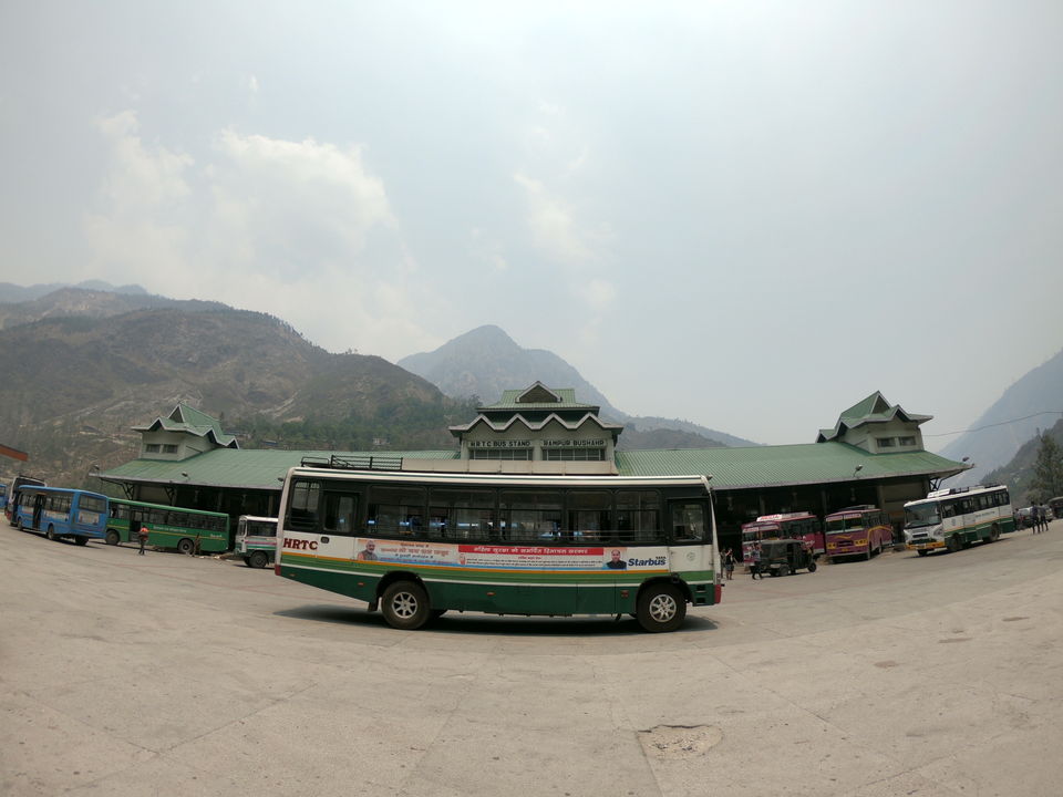 shimla tour bus