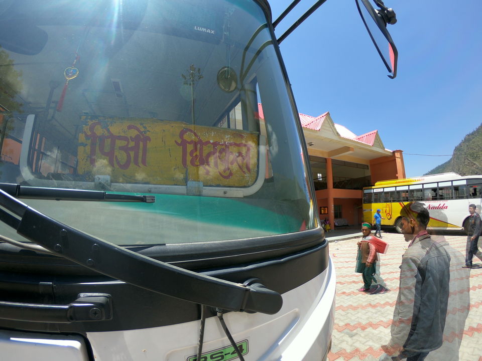 shimla tourist bus service