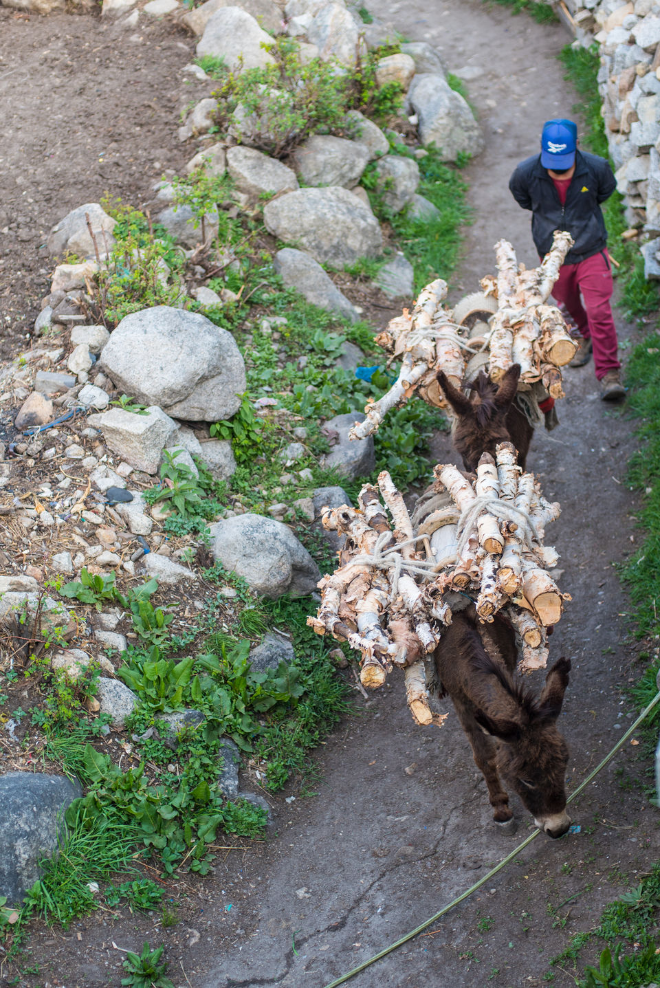Photo of Myths, Mystery and Traditions Of The Last Village Of India In Himachal Pradesh by Disha Kapkoti