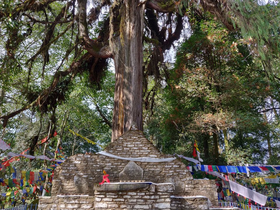 Photo of Kartok, Sikkim, India by Disha Kapkoti