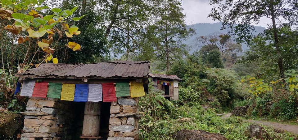 Photo of Yuksom, Sikkim, India by Disha Kapkoti