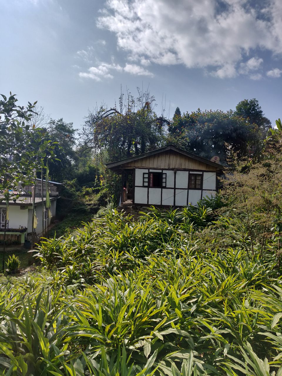 Photo of Yuksom, Sikkim, India by Disha Kapkoti