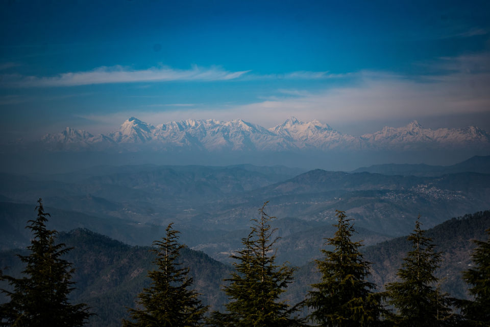 Photo of Woodnotes Foreststays, Hartola Rd, Nathuwakhan, Uttarakhand, India by Disha Kapkoti