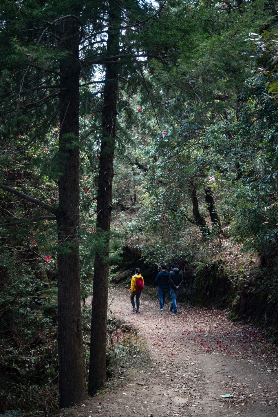 Photo of Woodnotes Foreststays: A Perfect Springtime Escape In The Orchards Of Kumaon by Disha Kapkoti
