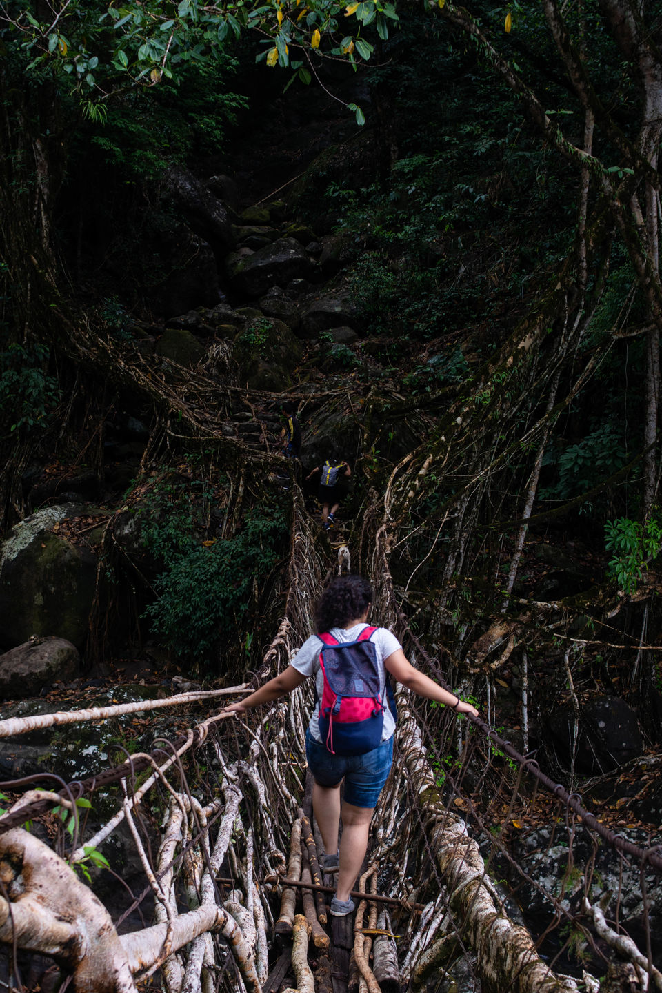 Photo of Rainbow Falls, Nohkalikai Road, Cherrapunjee, Meghalaya, India by Disha Kapkoti