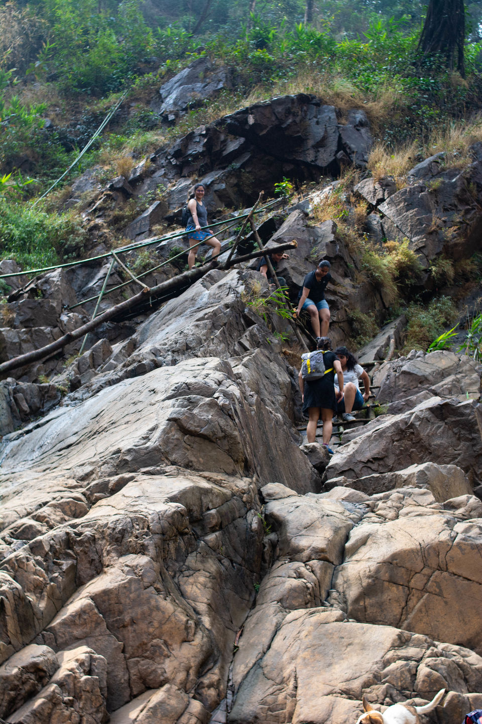 Photo of Rainbow Falls, Nohkalikai Road, Cherrapunjee, Meghalaya, India by Disha Kapkoti