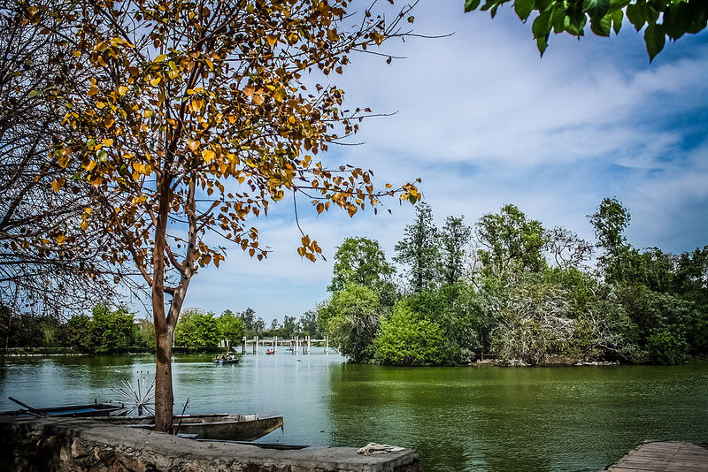 Photo of Tilyar Lake, Rohtak, Haryana, India by Disha Kapkoti
