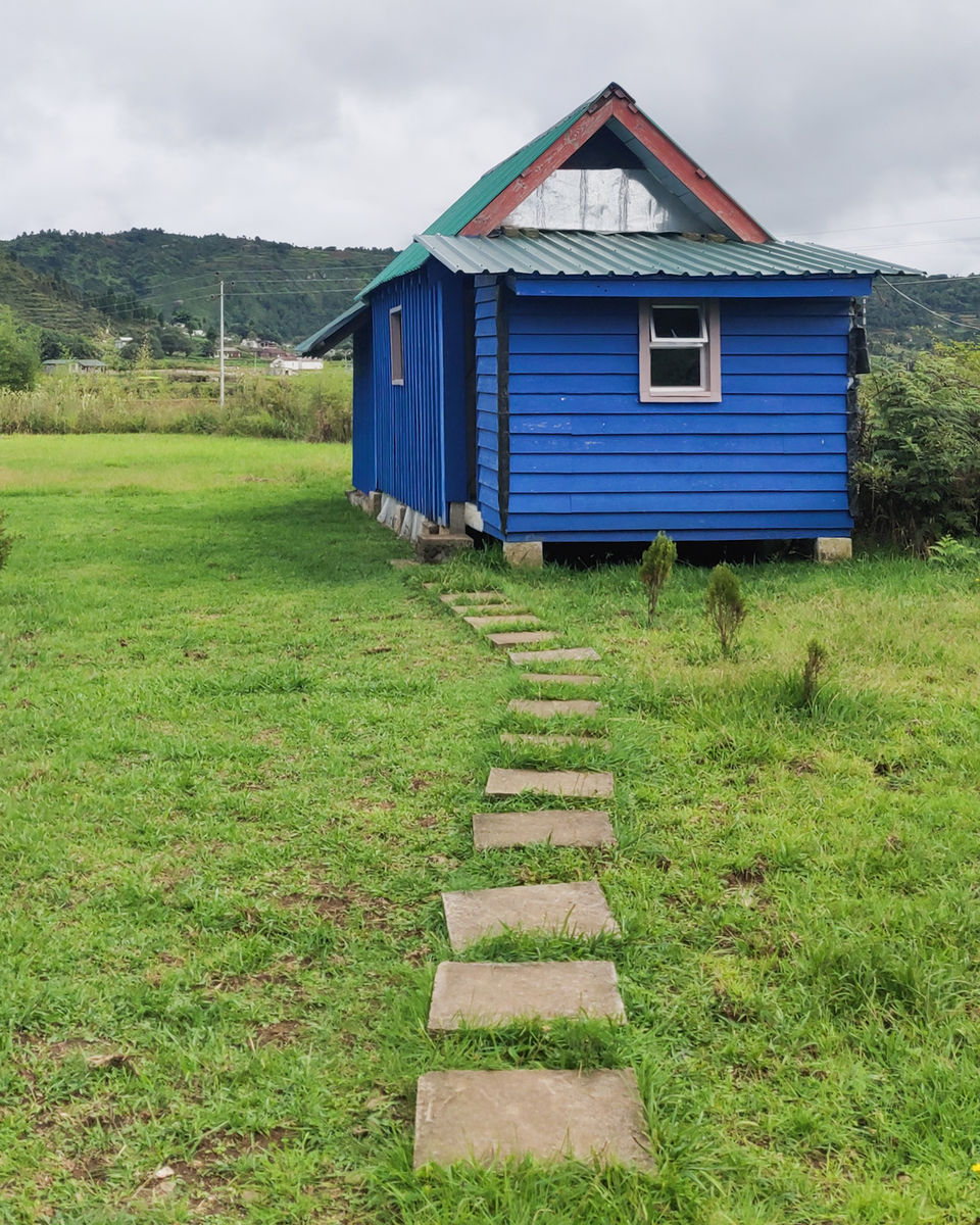 Photo of Sacred Forest In Mawphlang Is All About Things You've Never Seen Or Heard Before by Disha Kapkoti