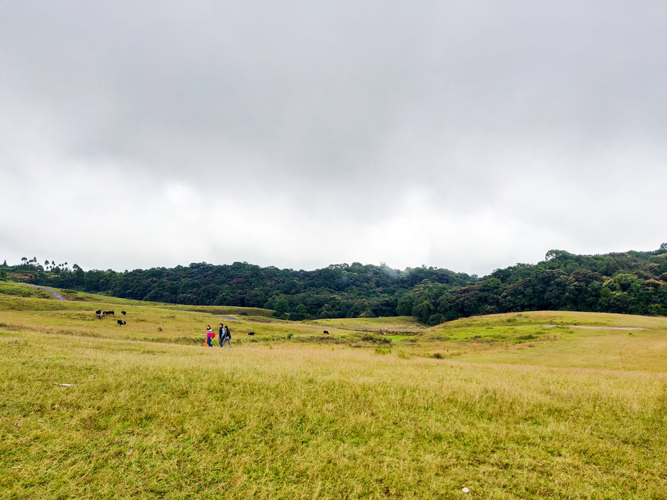 Photo of Mawphlang Sacred Grove, Nongrum, Meghalaya, India by Disha Kapkoti