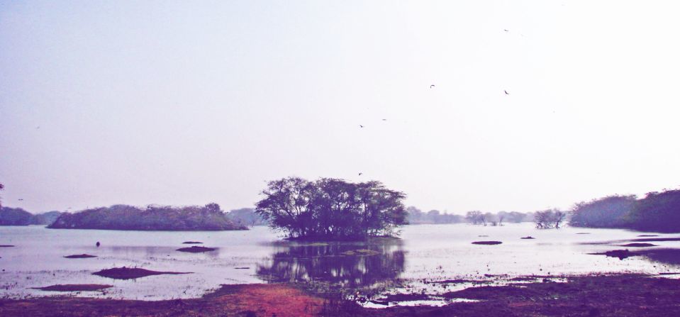Photo of Lake Point, Sultanpur, Sultanpur, Sylhet Division, Bangladesh by Disha Kapkoti