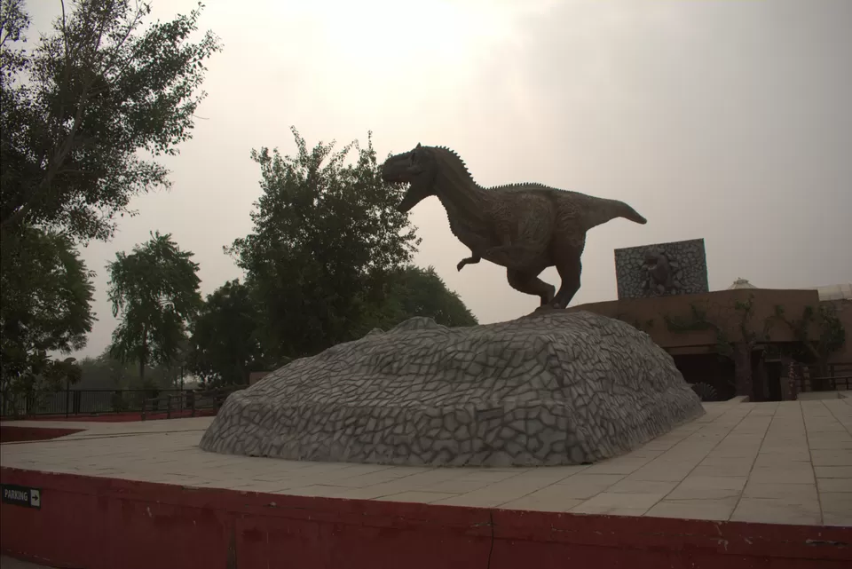 Photo of Raiyoli By Abhishek Shah