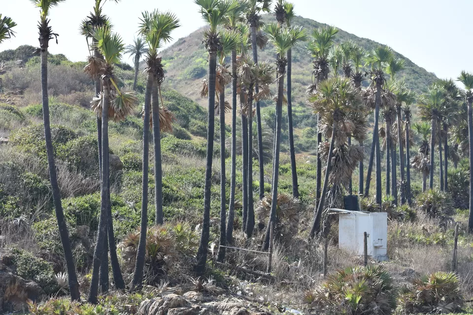 Photo of Yarada Beach, Andhra Pradesh by Abha Shatarupa