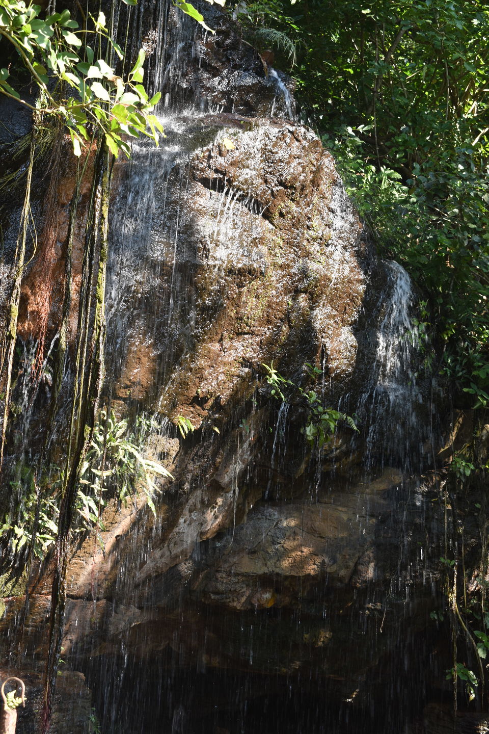 Photo of A day at Buddhakhol 9/14 by Abha Shatarupa