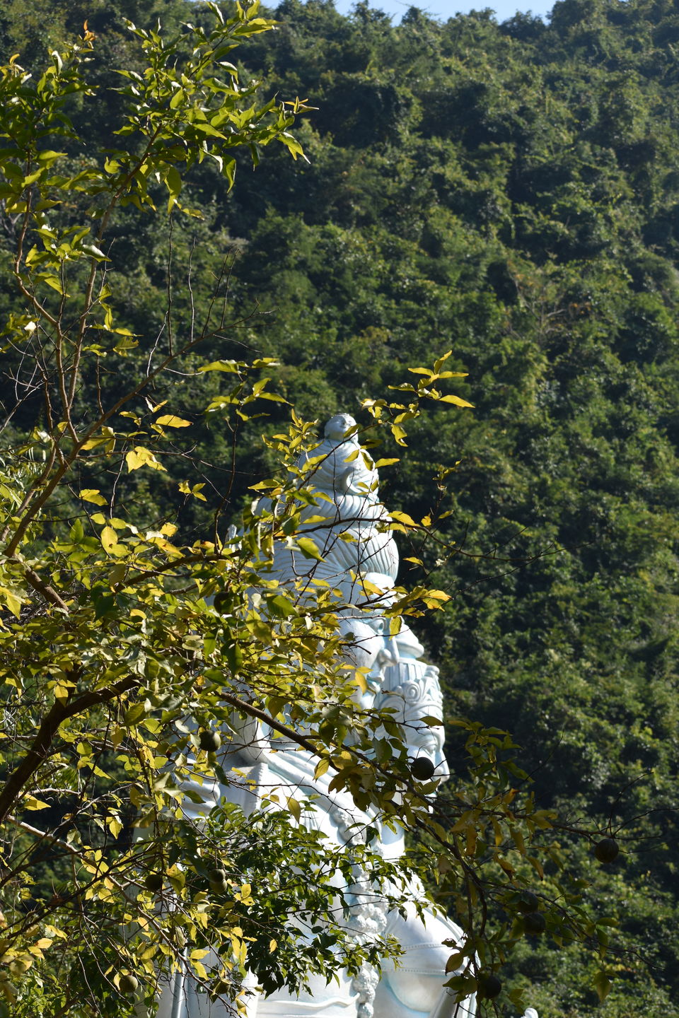 Photo of A day at Buddhakhol 6/14 by Abha Shatarupa