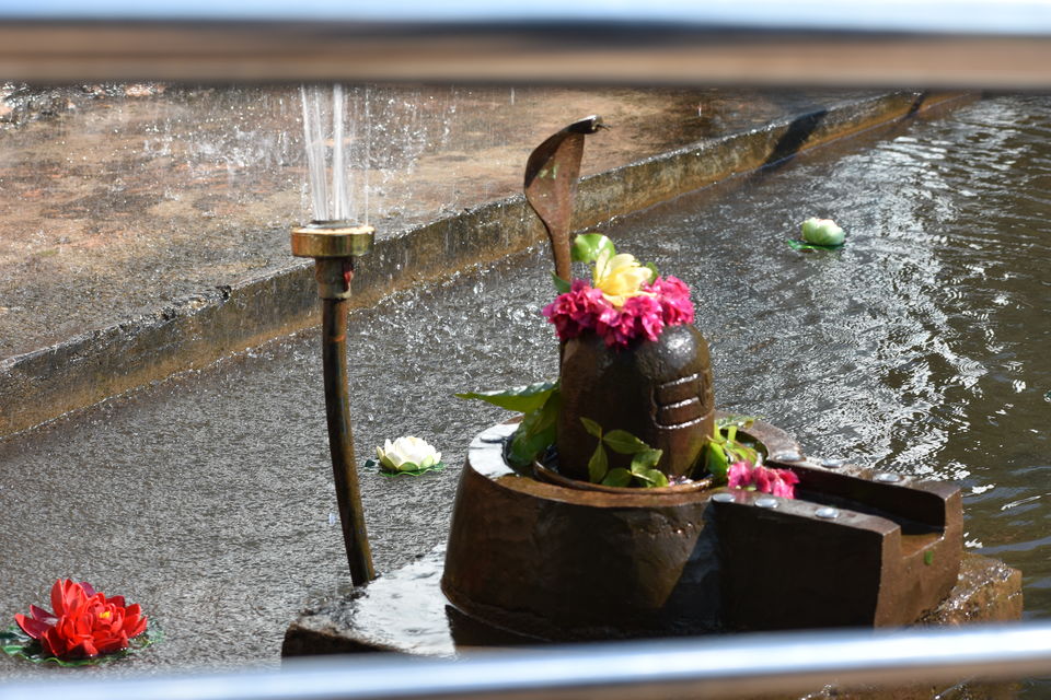 Photo of A day at Buddhakhol 5/14 by Abha Shatarupa