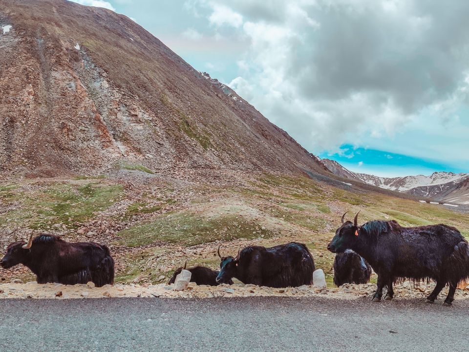 Photo of Manali - Leh 10 days itinerary Most Panaromic Road Trip! by Travel the World in Style