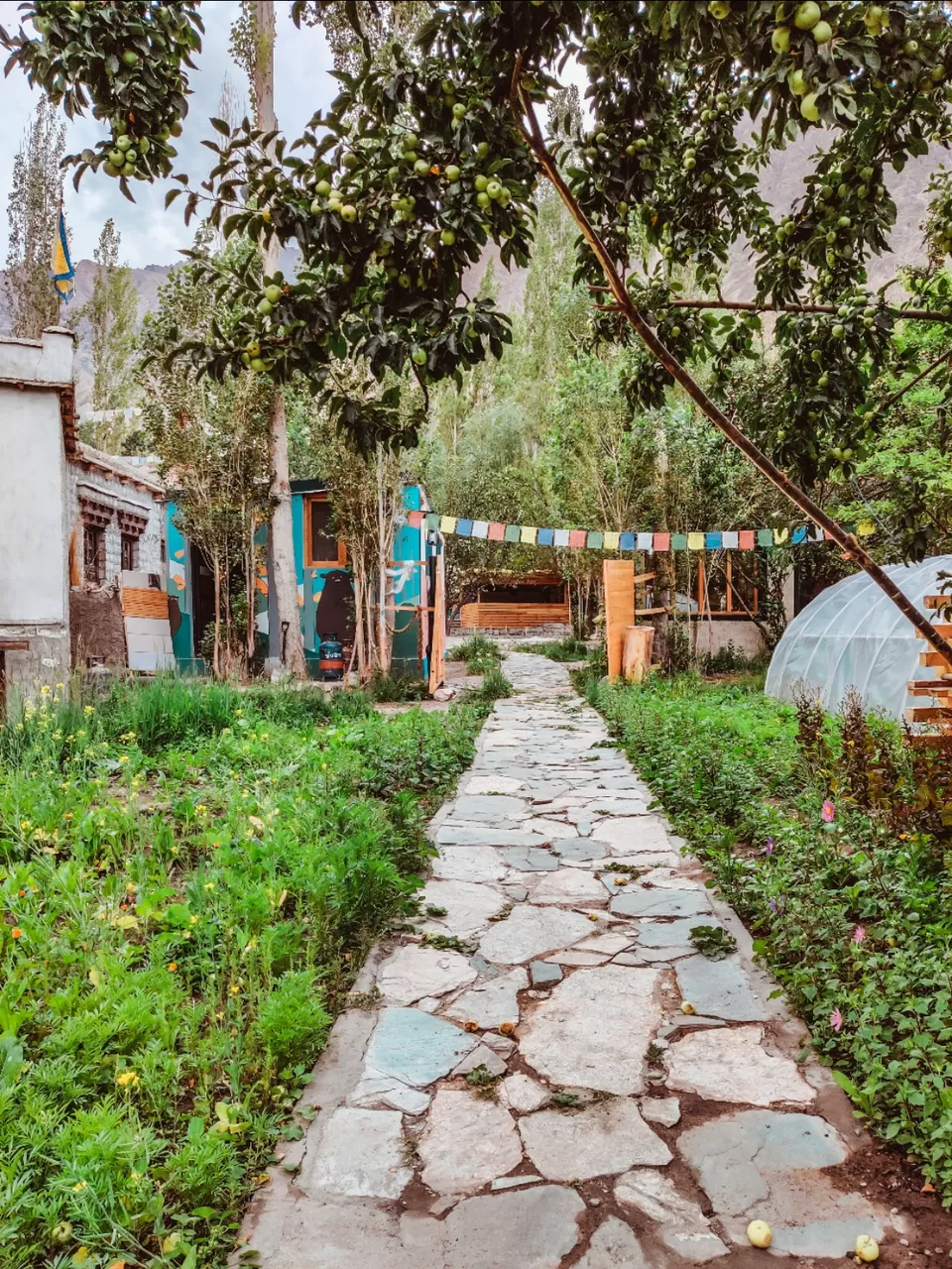 Photo of Manali - Leh 10 days itinerary Most Panaromic Road Trip! by Shreyabond | Travel in Style