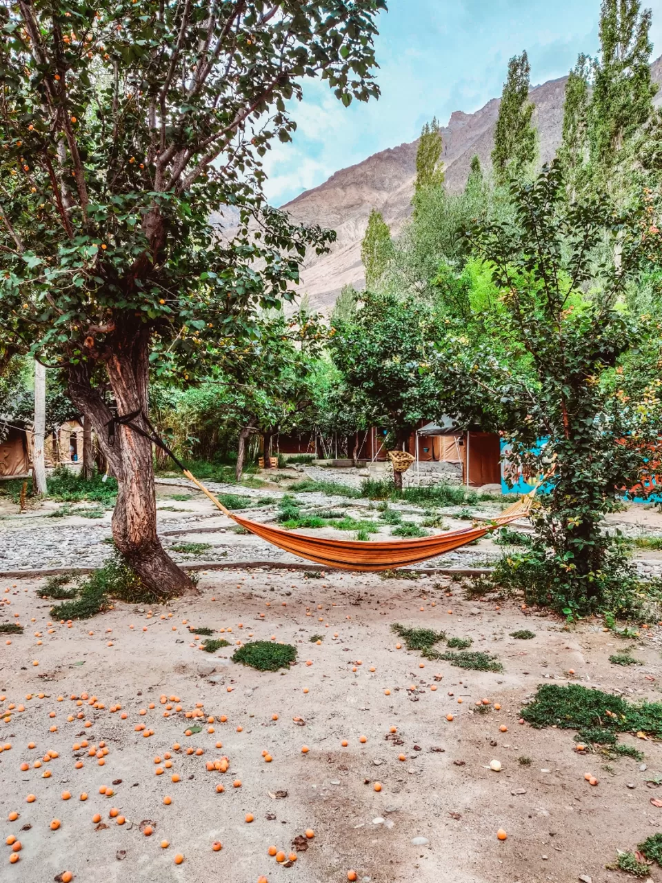 Photo of Manali - Leh 10 days itinerary Most Panaromic Road Trip! by Shreyabond | Travel in Style