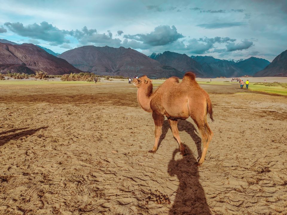 Photo of Manali - Leh 10 days itinerary Most Panaromic Road Trip! by Travel the World in Style