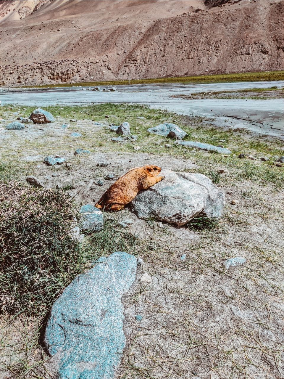 Photo of Manali - Leh 10 days itinerary Most Panaromic Road Trip! by Travel the World in Style