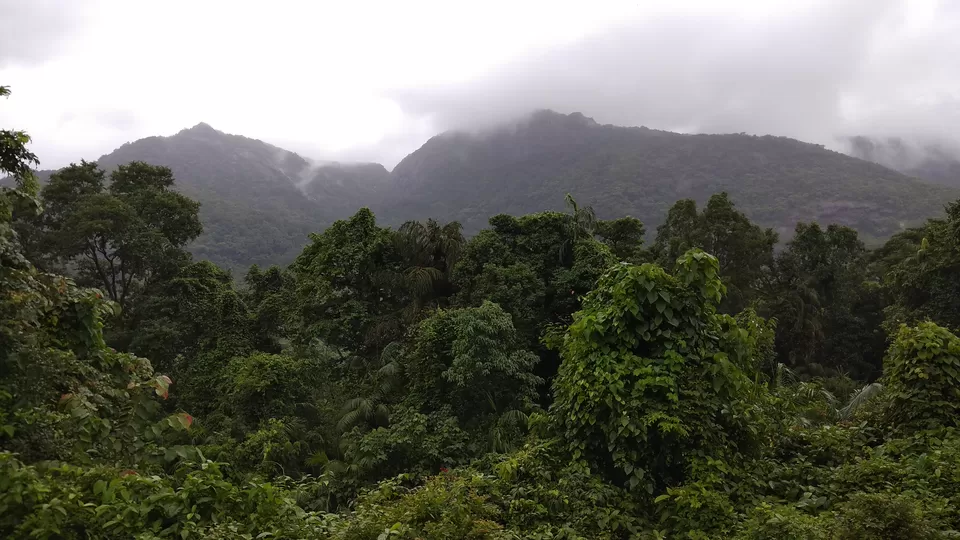 Photo of Dudhsagar Falls Railway Bridge, DoodhSagar Waterfalls Trail, Sonaulim, Goa, India by Priyanka Aggarwal