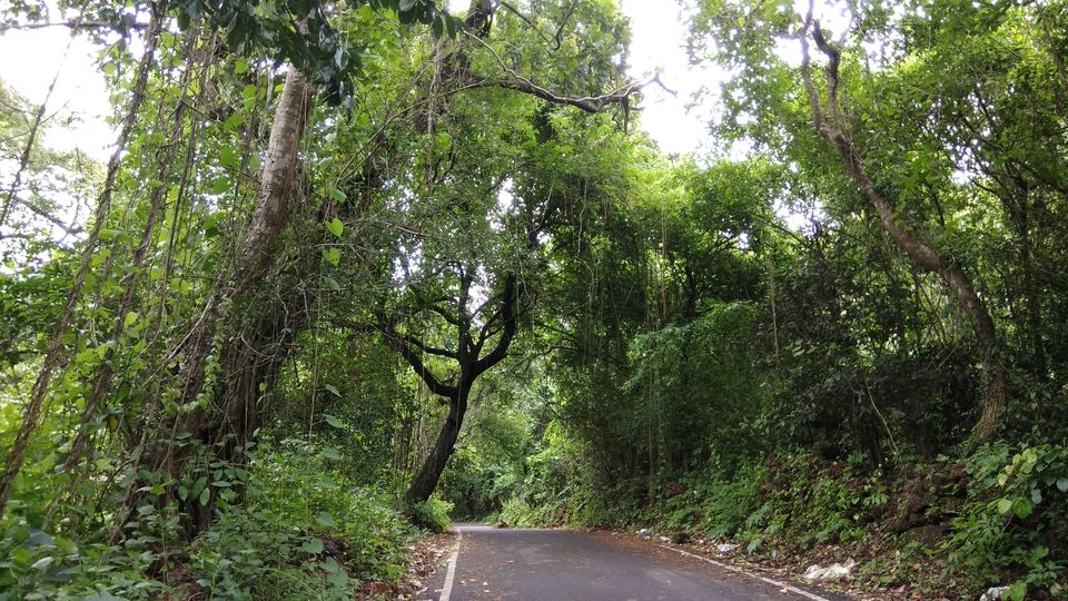 Photo of Solo trip to Goa during Monsoon by Priyanka Aggarwal