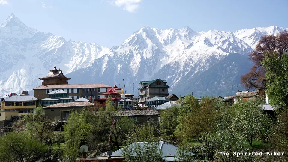 Photo of Kalpa, Reckong Peo, Himachal Pradesh, India by the_spirited_biker