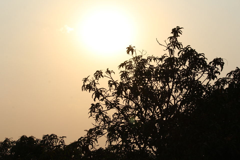 Photo of Junagadh to Diu and Sasan Gir 8/13 by Preet Javiya