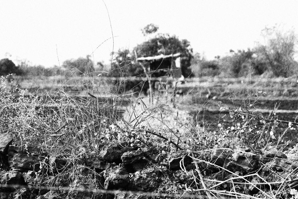 Photo of Junagadh to Diu and Sasan Gir 9/13 by Preet Javiya