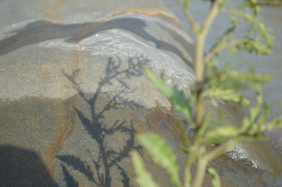 Photo of An adventure trip to a religious place. Rishikesh and Mussoorie by Preet Javiya