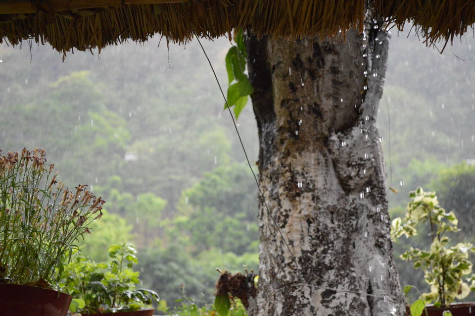 Photo of An adventure trip to a religious place. Rishikesh and Mussoorie by Preet Javiya