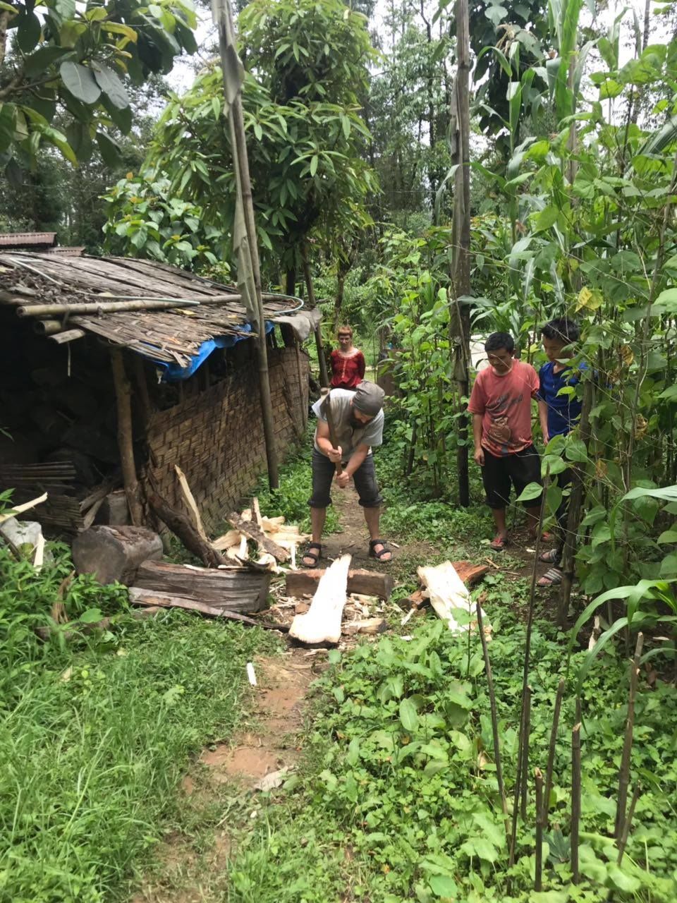 Photo of Be a Volunteer on an Organic Farm with WWOOF India 1/7 by Shivani Vohra