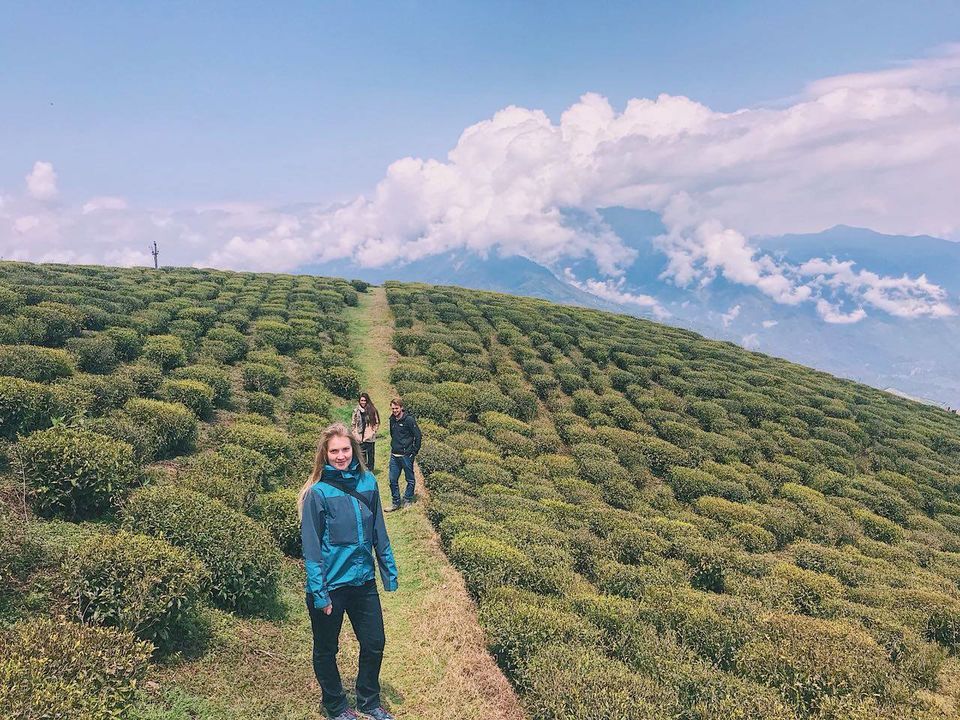 Photo of Be a Volunteer on an Organic Farm with WWOOF India 4/7 by Shivani Vohra