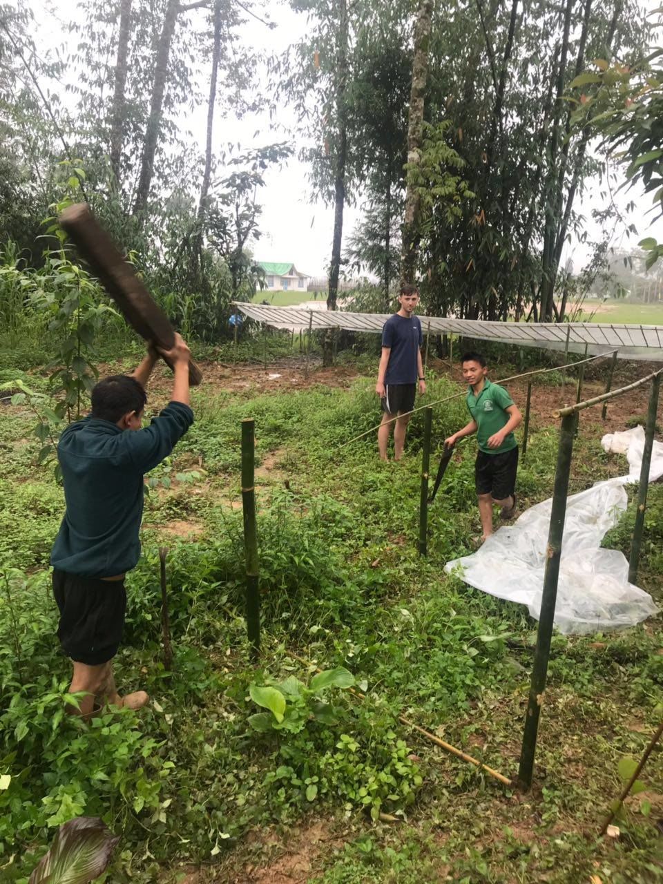 Photo of Be a Volunteer on an Organic Farm with WWOOF India 5/7 by Shivani Vohra