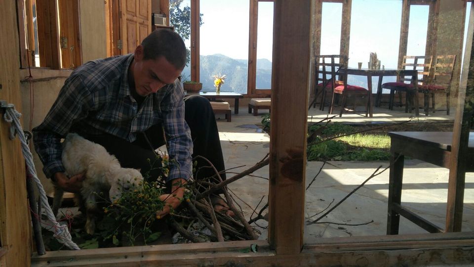 Photo of Be a Volunteer on an Organic Farm with WWOOF India 6/7 by Shivani Vohra