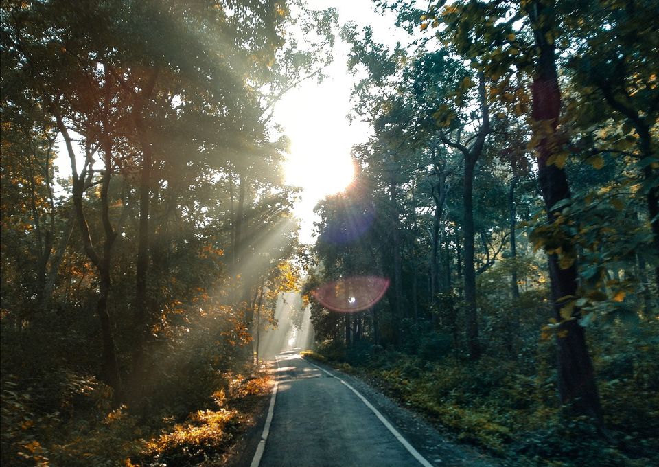 Photo of Jim Corbett National Park, Ramnagar, Uttarakhand, India by Akash Vetal