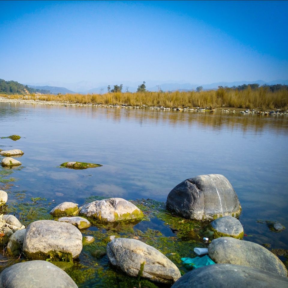 Photo of The Roar Resort, Jim Corbett National Park, Ramnagar, Uttarakhand, India by Akash Vetal
