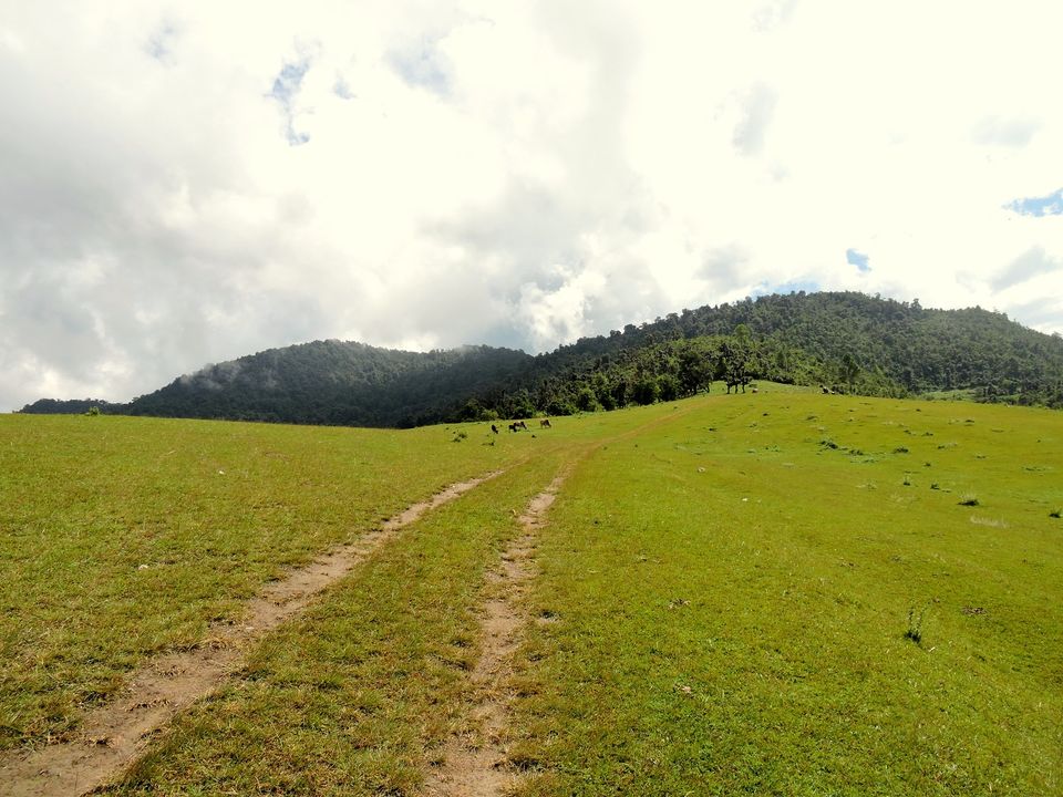 Photo of TravellingBulls 20/24 by Shubham Pokhriyal